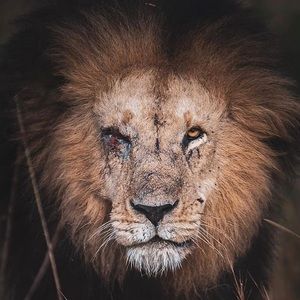 Meet your Posher, James